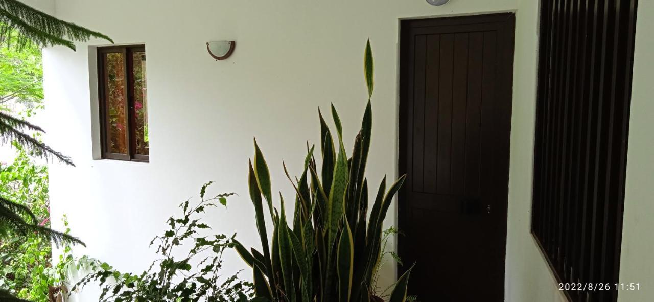 Appartement Damontanha 2 à Ribeira Grande Extérieur photo